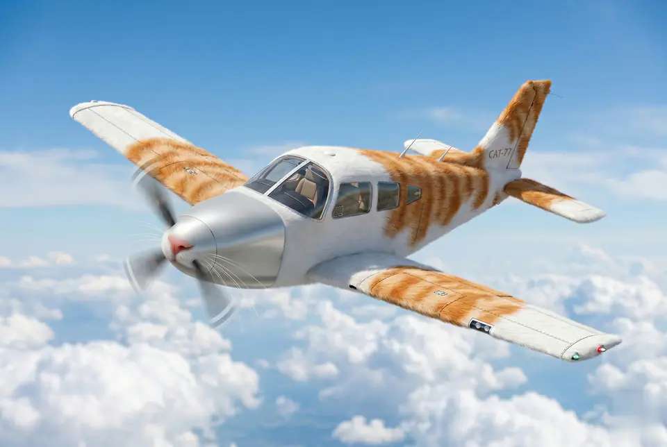 AI Kitty Plane Image Maker concept